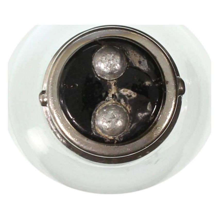 WAGNER LIGHTING 2357 Standard Multi-Purpose Light Bulb Box of 10