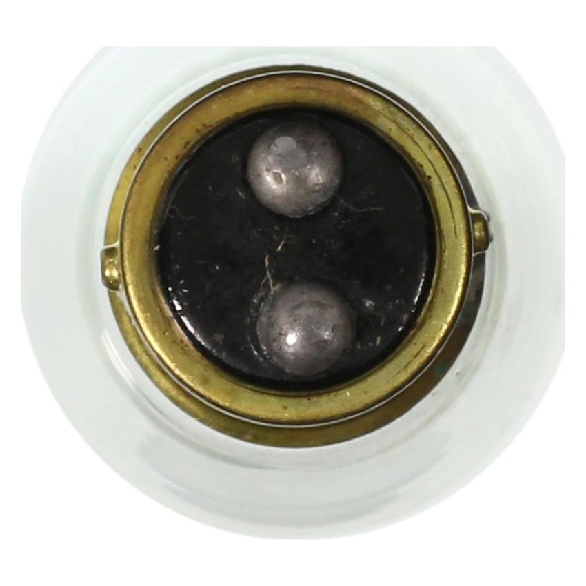 WAGNER LIGHTING 2397 Standard Multi-Purpose Light Bulb Box of 10