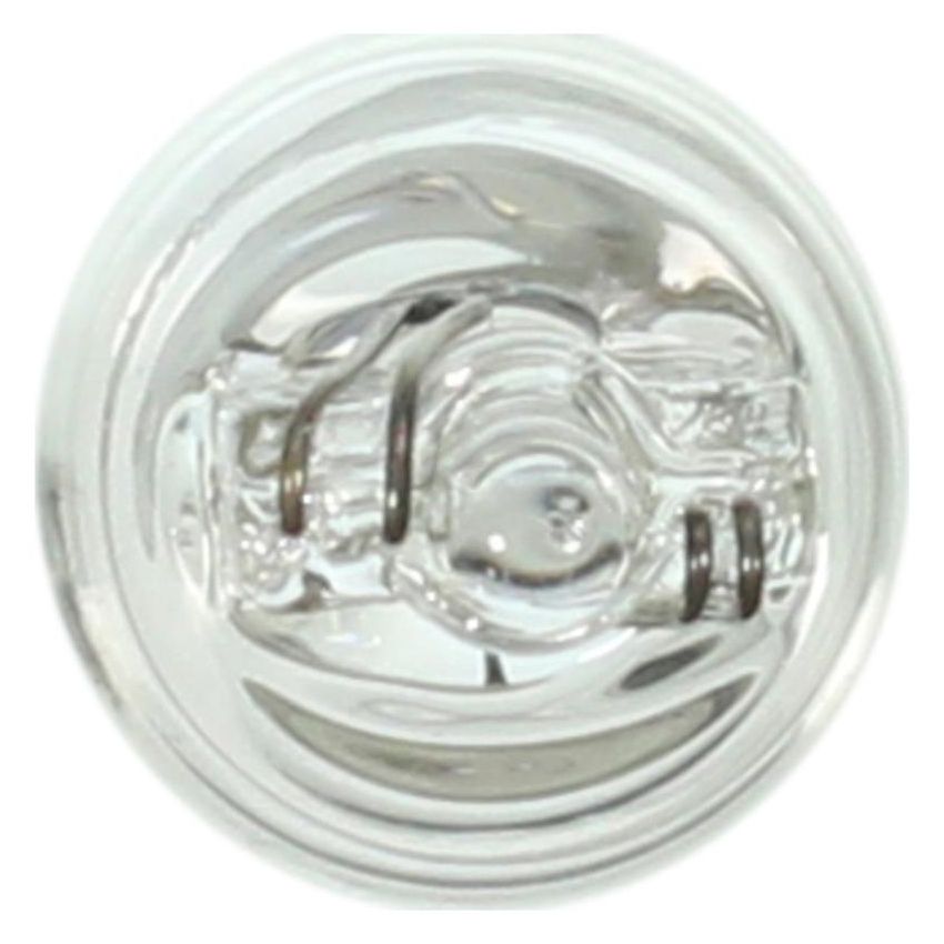 WAGNER LIGHTING 24 Standard Multi-Purpose Light Bulb Box of 10