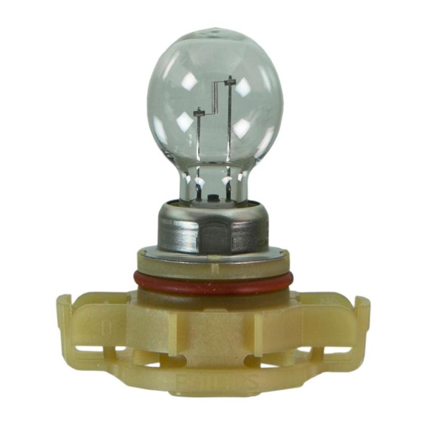 WAGNER LIGHTING 2504 Standard Multi-Purpose Light Bulb Box of 1