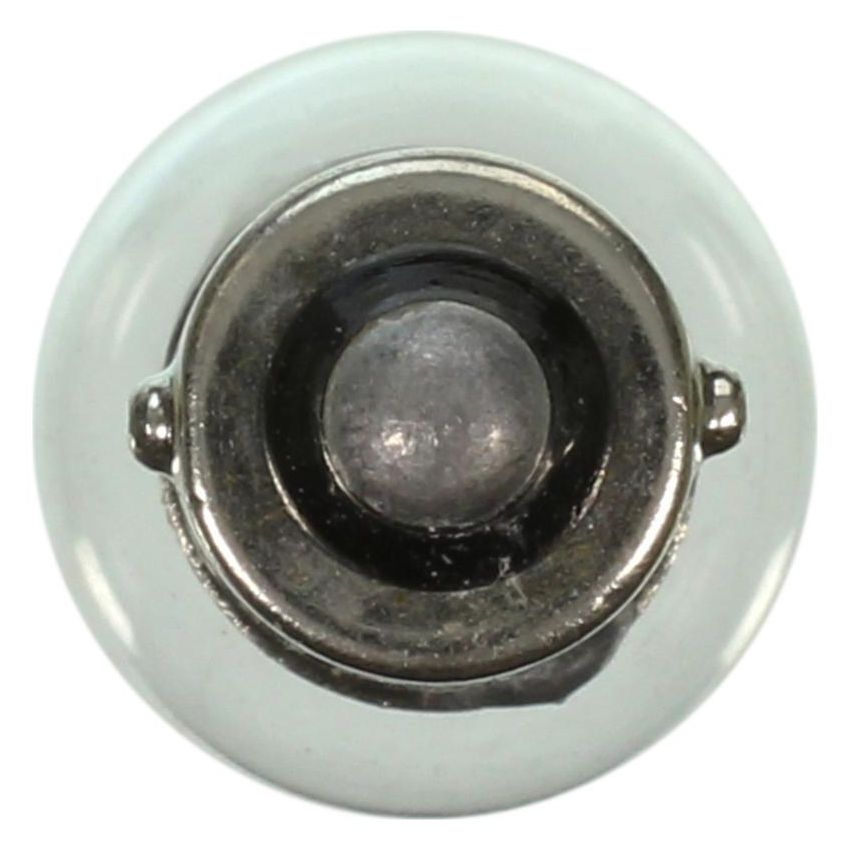 WAGNER LIGHTING 293 Standard Multi-Purpose Light Bulb Box of 10