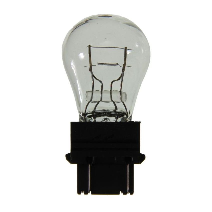 WAGNER LIGHTING 3047 Standard Multi-Purpose Light Bulb Box of 10