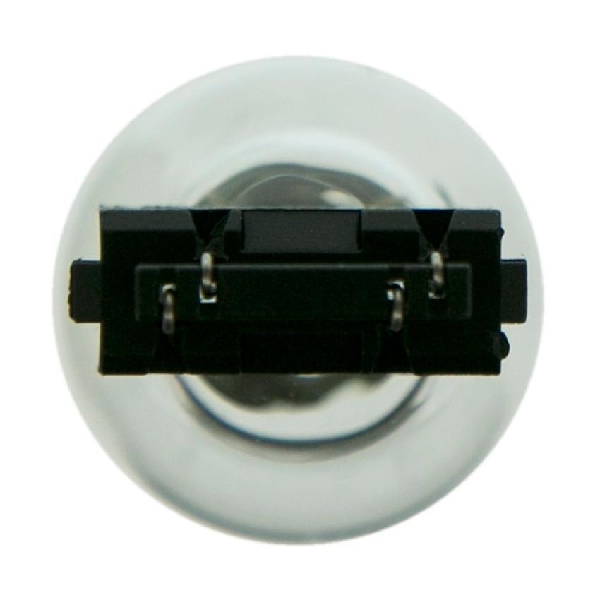 WAGNER LIGHTING 3047 Standard Multi-Purpose Light Bulb Box of 10