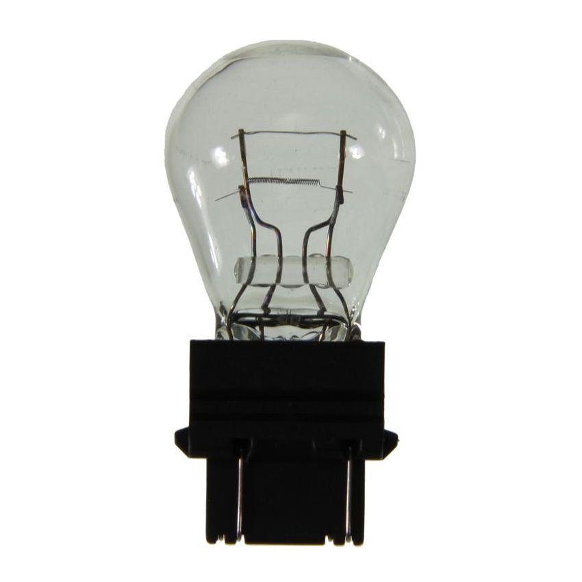 WAGNER LIGHTING 3047LL Long Life Multi-Purpose Light Bulb Box of 10