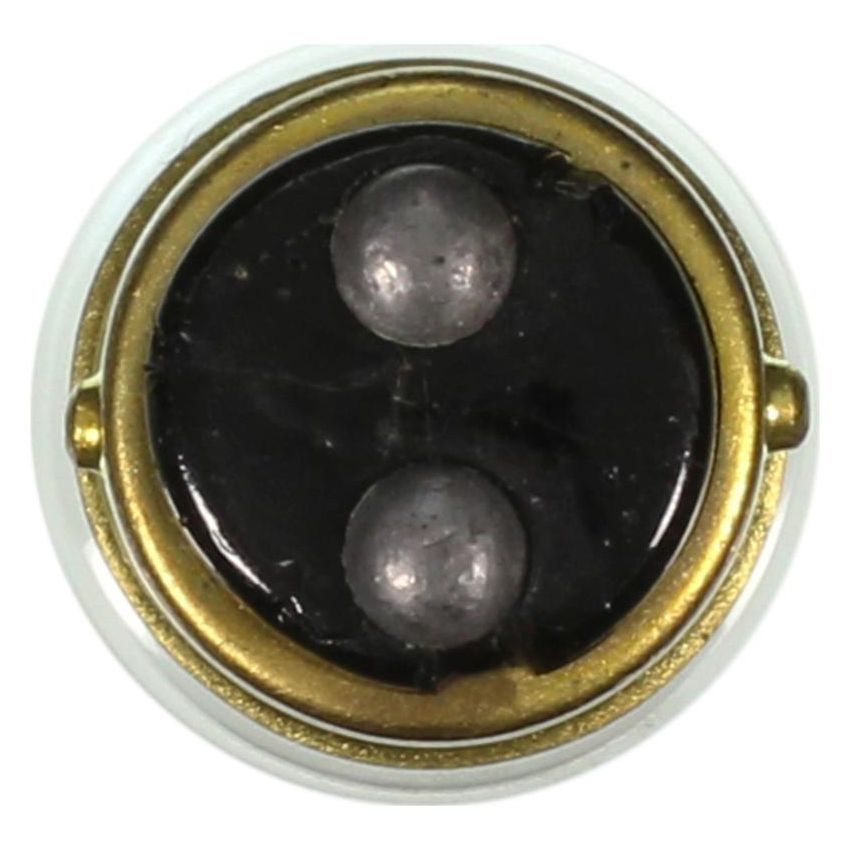 WAGNER LIGHTING 304 Standard Multi-Purpose Light Bulb Box of 10