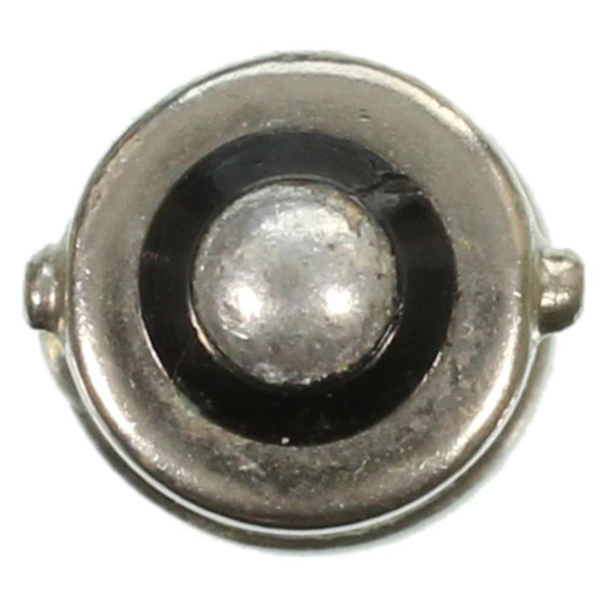 WAGNER LIGHTING 313 Standard Multi-Purpose Light Bulb Box of 10