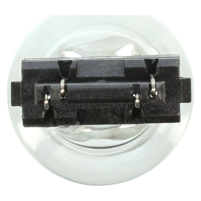 WAGNER LIGHTING 3357 Standard Multi-Purpose Light Bulb Box of 10