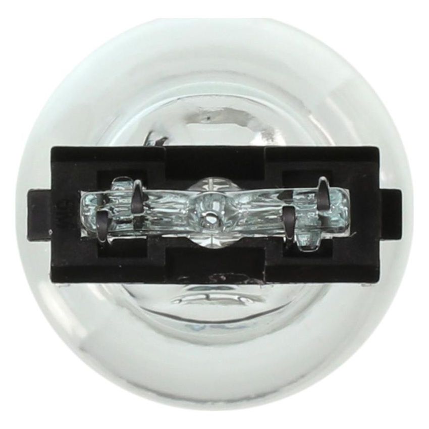 WAGNER LIGHTING 3457 Standard Multi-Purpose Light Bulb Box of 10