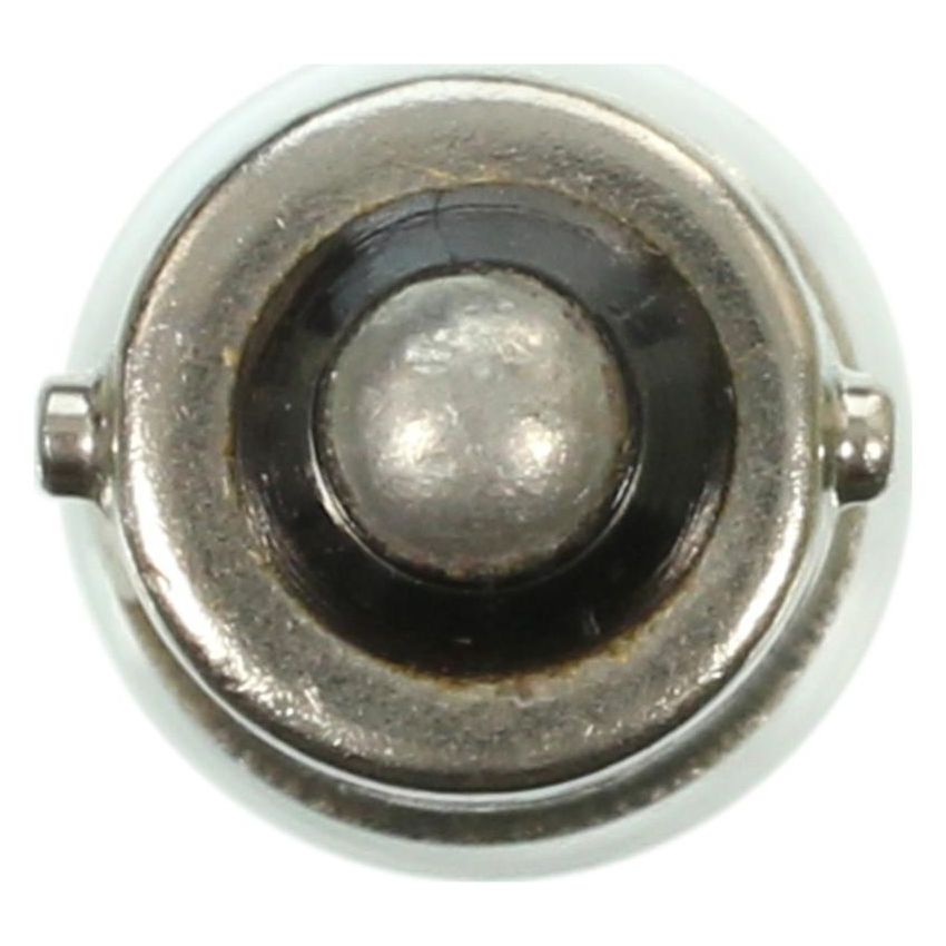 WAGNER LIGHTING 356 Standard Multi-Purpose Light Bulb Box of 10