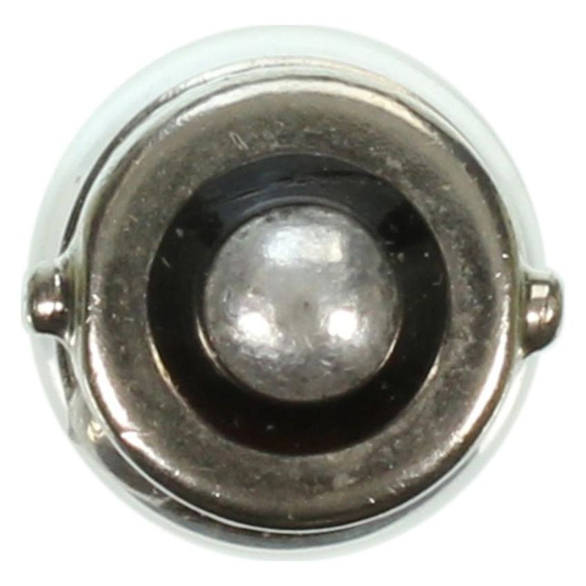 WAGNER LIGHTING 363 Standard Multi-Purpose Light Bulb Box of 10