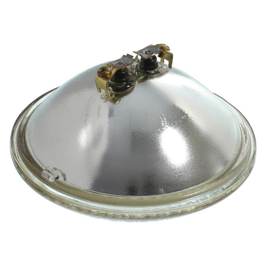 WAGNER LIGHTING 4413 Standard Multi-Purpose Light Bulb Box of 1