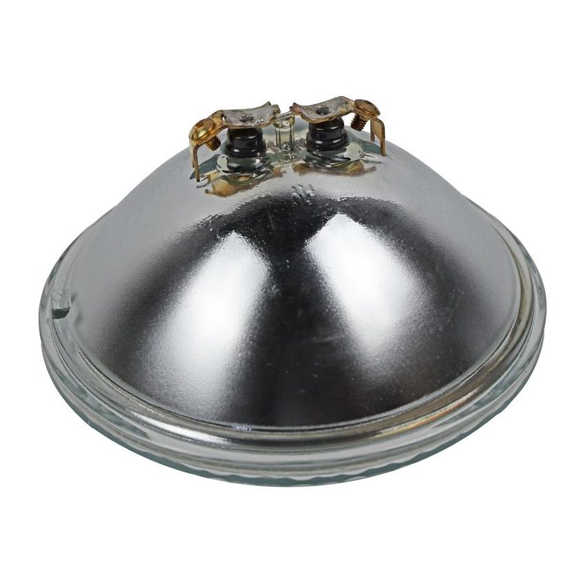 WAGNER LIGHTING 4419 Standard Multi-Purpose Light Bulb Box of 1