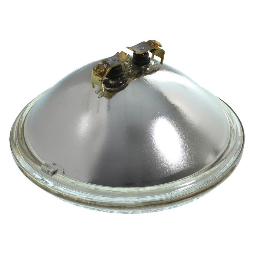 WAGNER LIGHTING 4419 Standard Multi-Purpose Light Bulb Box of 1