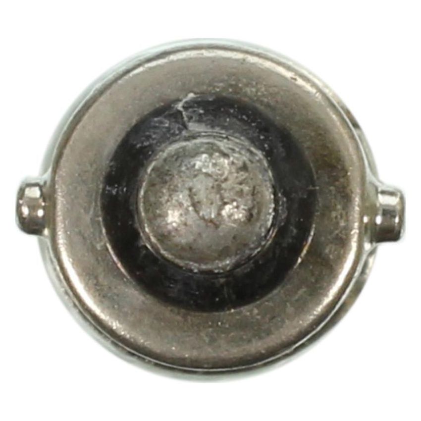 WAGNER LIGHTING 44 Standard Multi-Purpose Light Bulb Box of 10