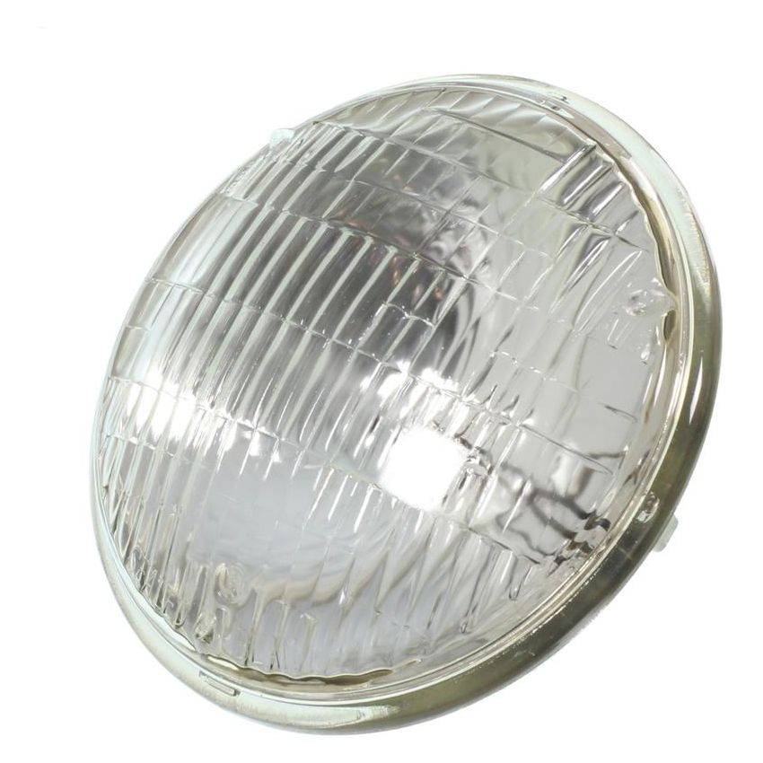 WAGNER LIGHTING 4579 Standard Multi-Purpose Light Bulb Box of 1