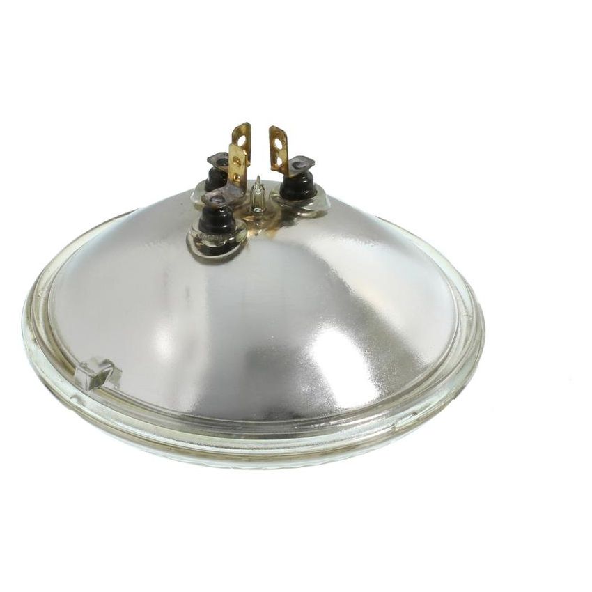 WAGNER LIGHTING 4579 Standard Multi-Purpose Light Bulb Box of 1