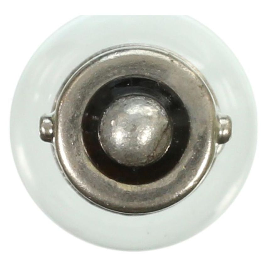 WAGNER LIGHTING 55 Standard Multi-Purpose Light Bulb Box of 10