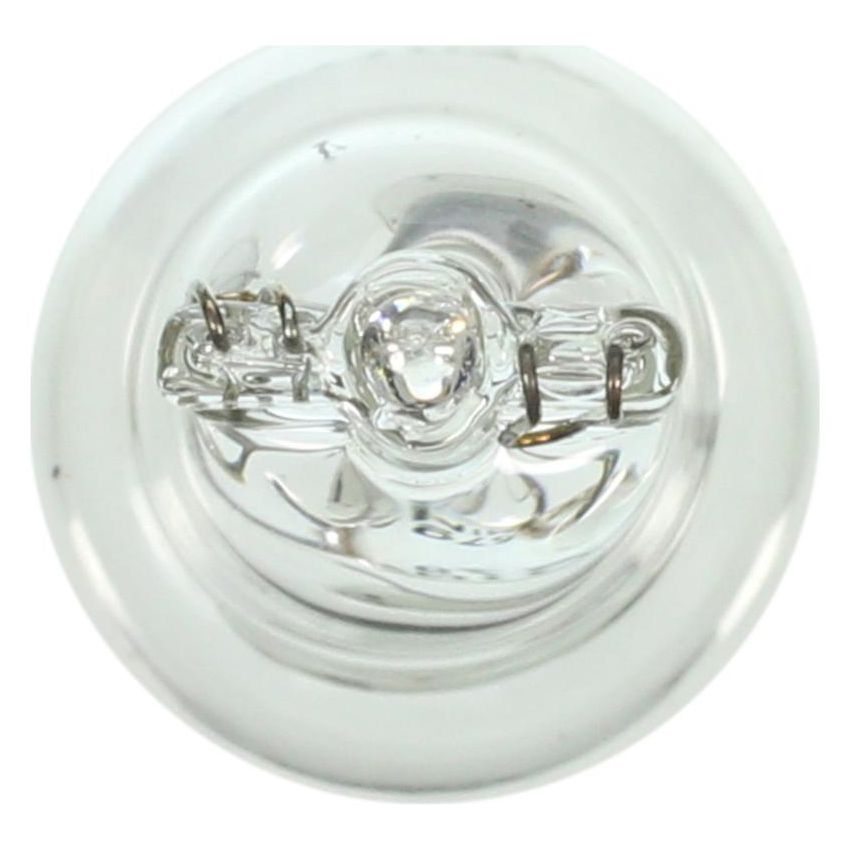 WAGNER LIGHTING 579 Standard Multi-Purpose Light Bulb Box of 10