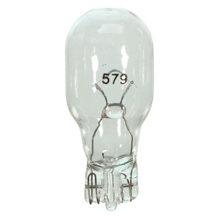 WAGNER LIGHTING 579 Standard Multi-Purpose Light Bulb Box of 10