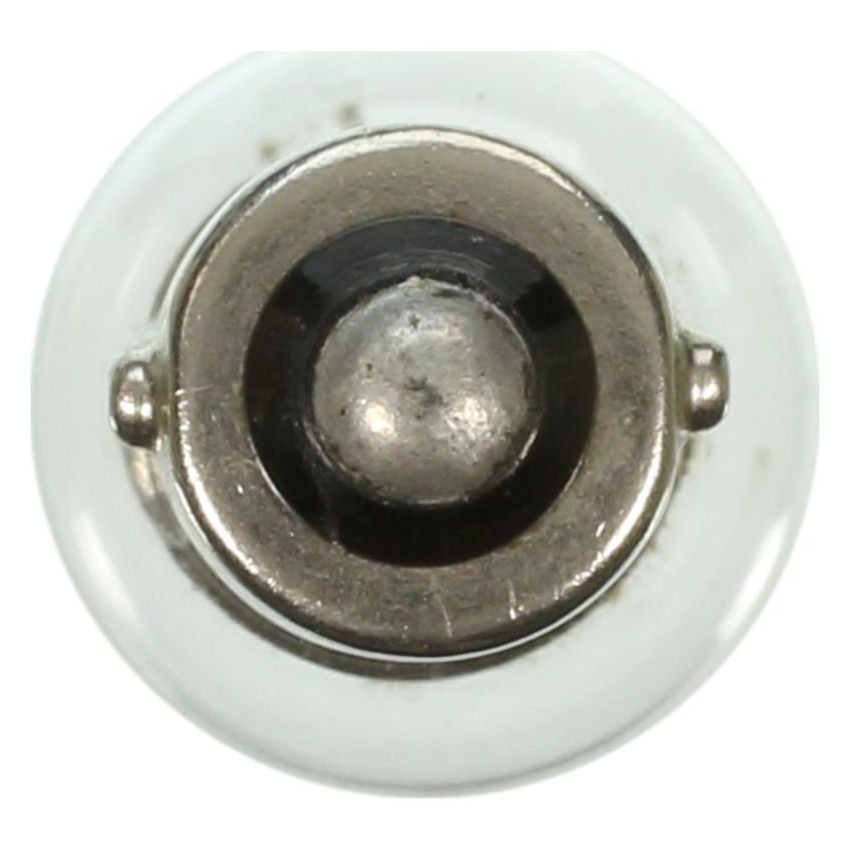 WAGNER LIGHTING 57 Standard Multi-Purpose Light Bulb Box of 10