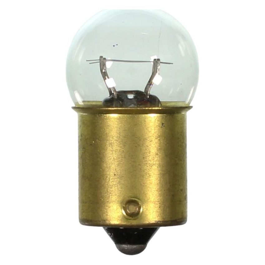 WAGNER LIGHTING 623 Standard Multi-Purpose Light Bulb Box of 10