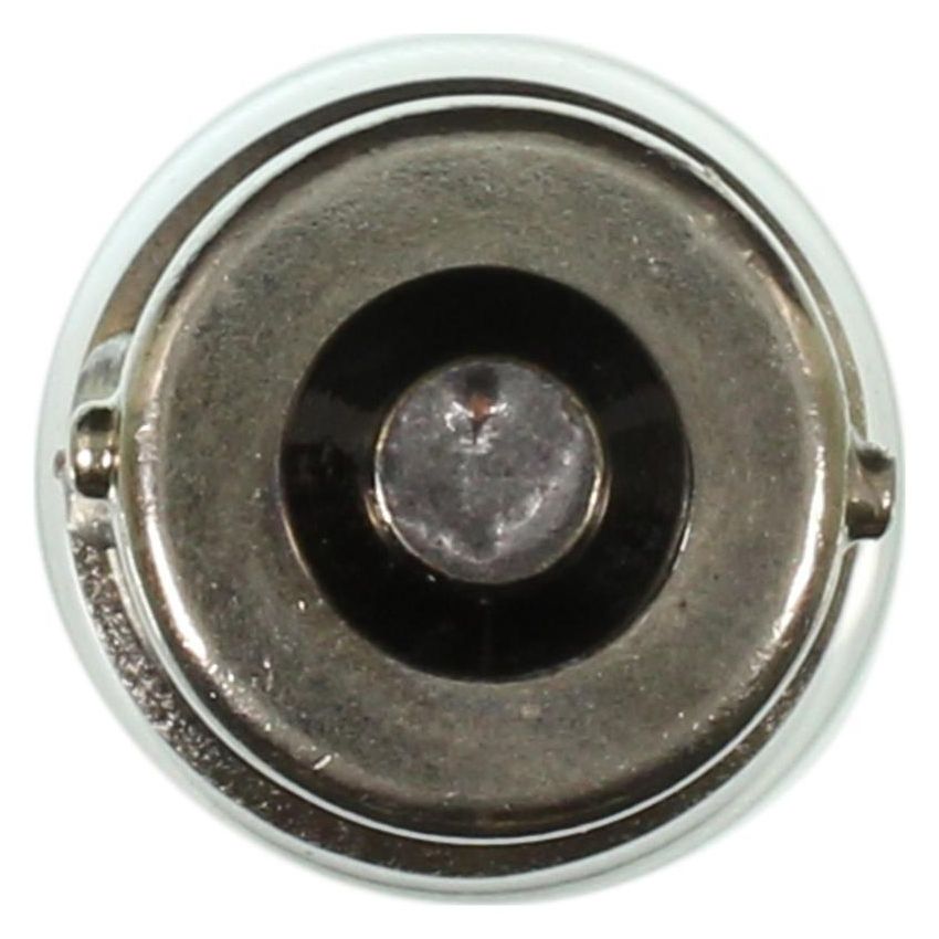 WAGNER LIGHTING 631 Standard Multi-Purpose Light Bulb Box of 10