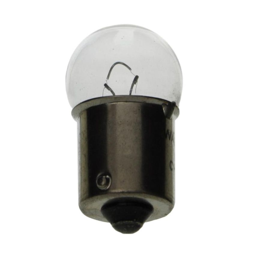 WAGNER LIGHTING 67 Standard Multi-Purpose Light Bulb Box of 10