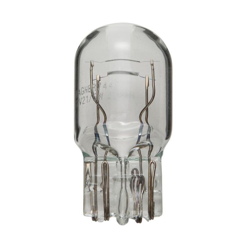 WAGNER LIGHTING 7443 Standard Multi-Purpose Light Bulb Box of 10