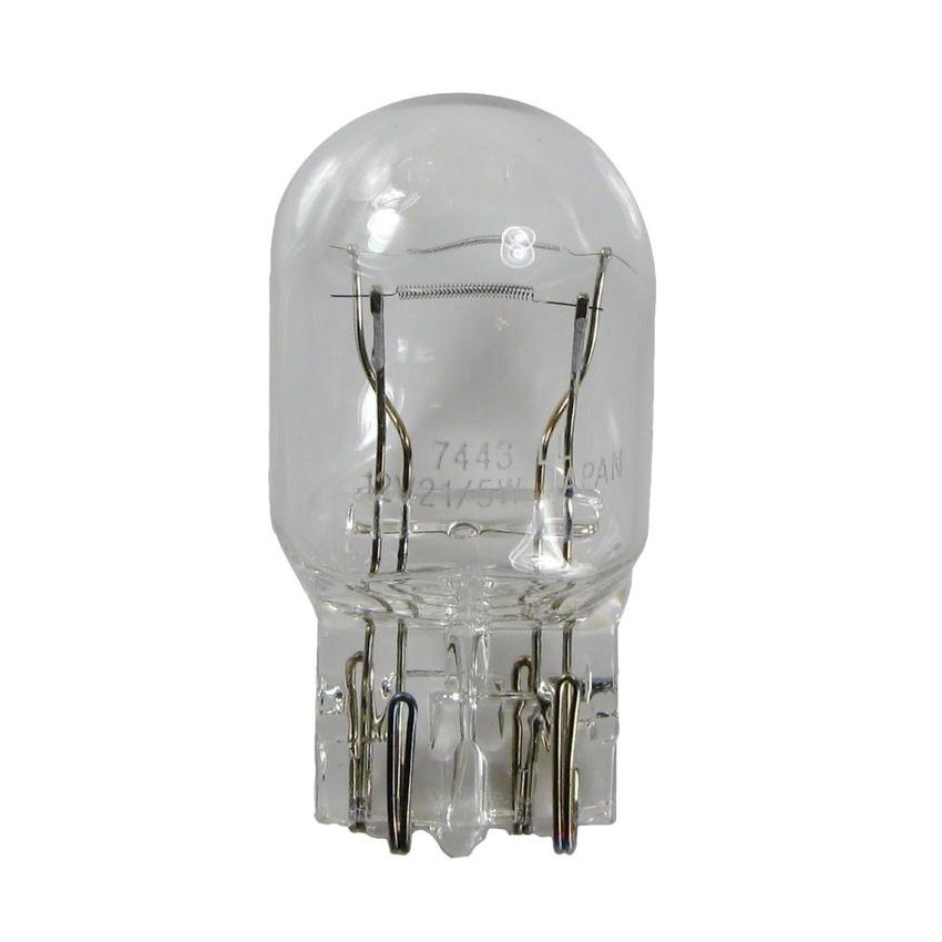 WAGNER LIGHTING 7443LL Long Life Multi-Purpose Light Bulb Box of 10