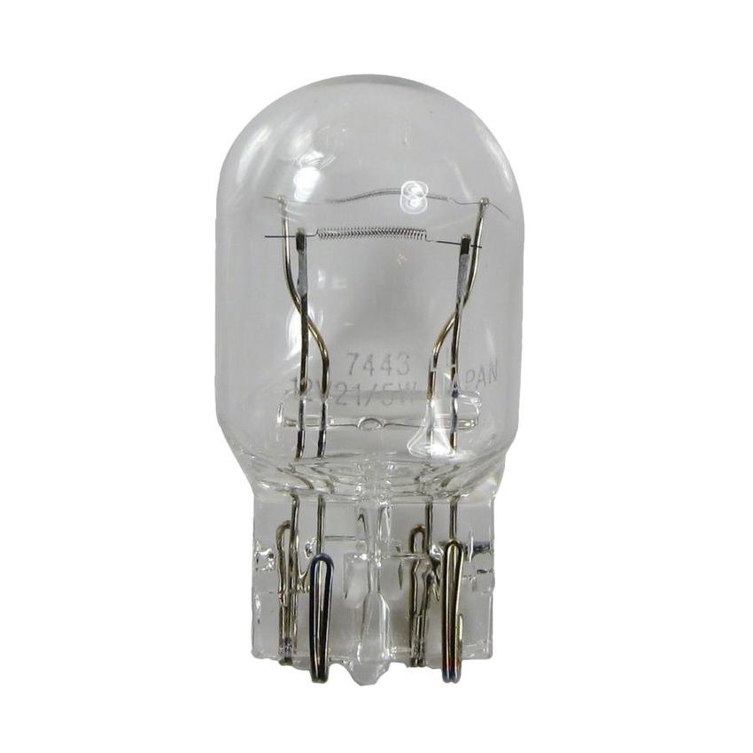WAGNER LIGHTING 7443LL Long Life Multi-Purpose Light Bulb Box of 10