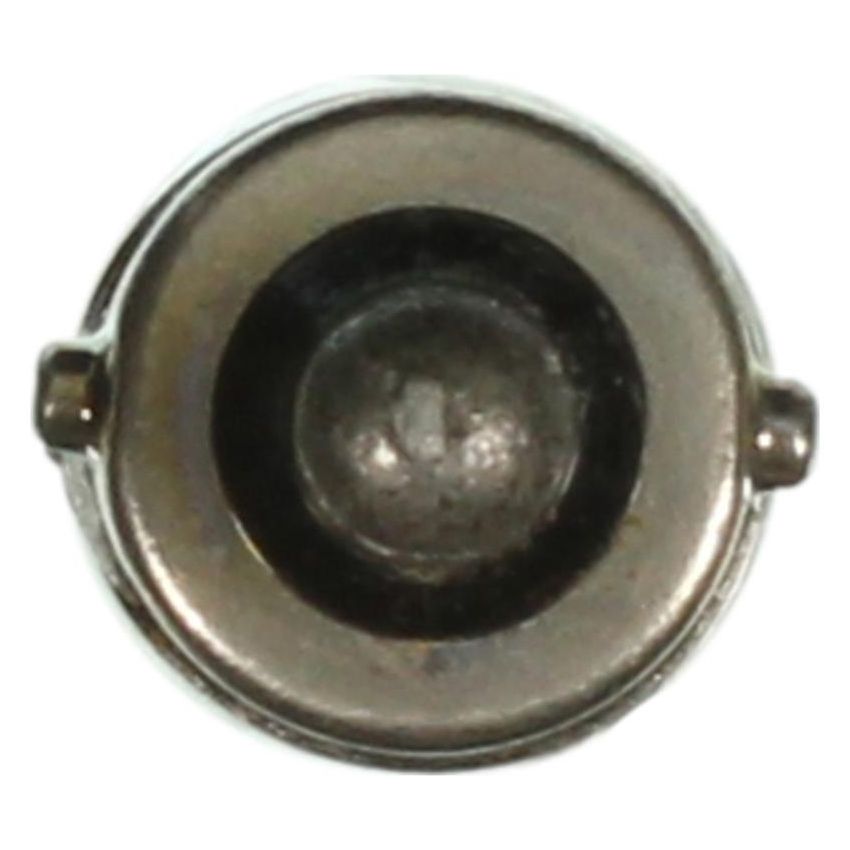 WAGNER LIGHTING 755 Standard Multi-Purpose Light Bulb Box of 10