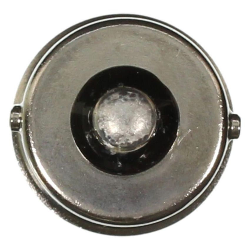 WAGNER LIGHTING 795 Standard Multi-Purpose Light Bulb Box of 10