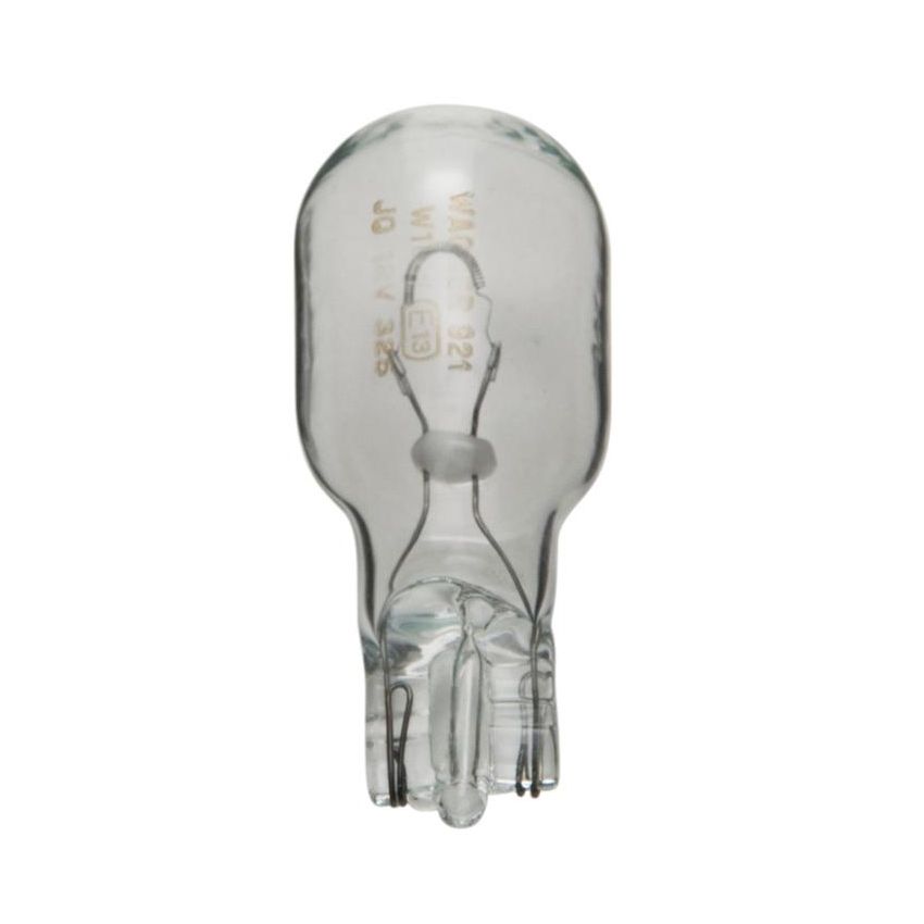 WAGNER LIGHTING 921 Standard Multi-Purpose Light Bulb Box of 10