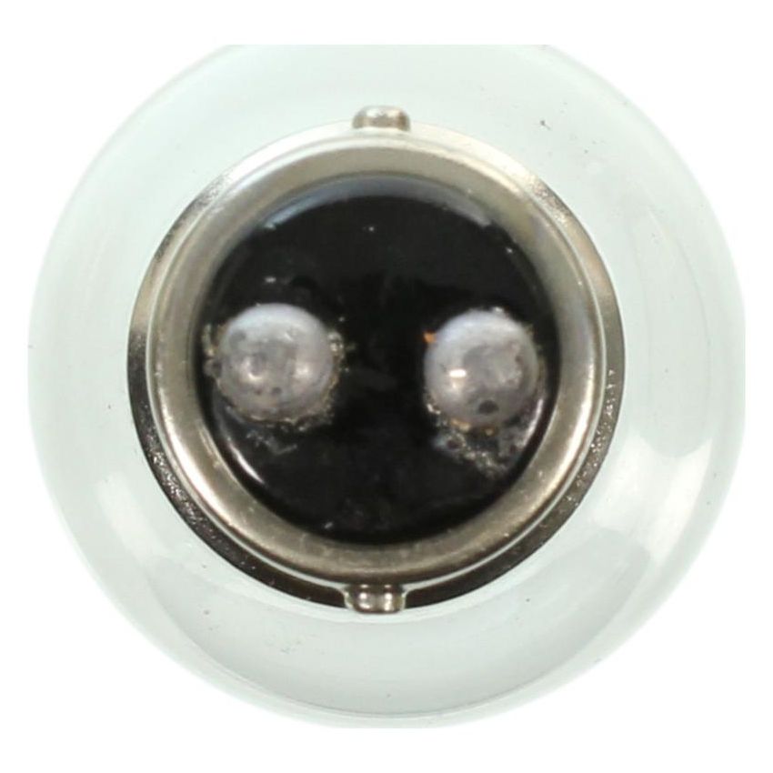 WAGNER LIGHTING 94 Standard Multi-Purpose Light Bulb Box of 10