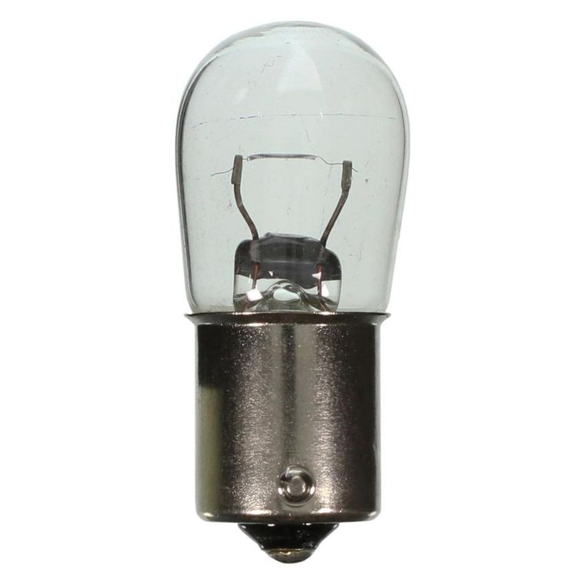 WAGNER LIGHTING BP1003LL Long Life Multi-Purpose Light Bulb Box of 10