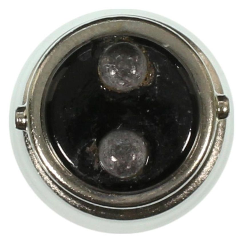 WAGNER LIGHTING BP1004LL Long Life Multi-Purpose Light Bulb Box of 10