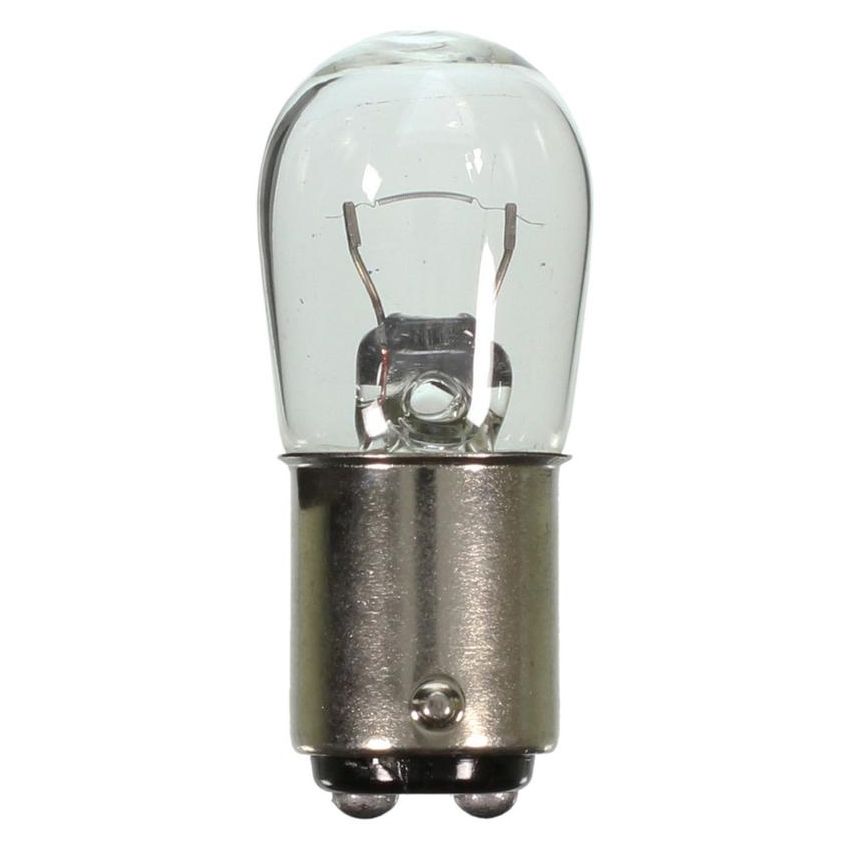 WAGNER LIGHTING BP1004LL Long Life Multi-Purpose Light Bulb Box of 10