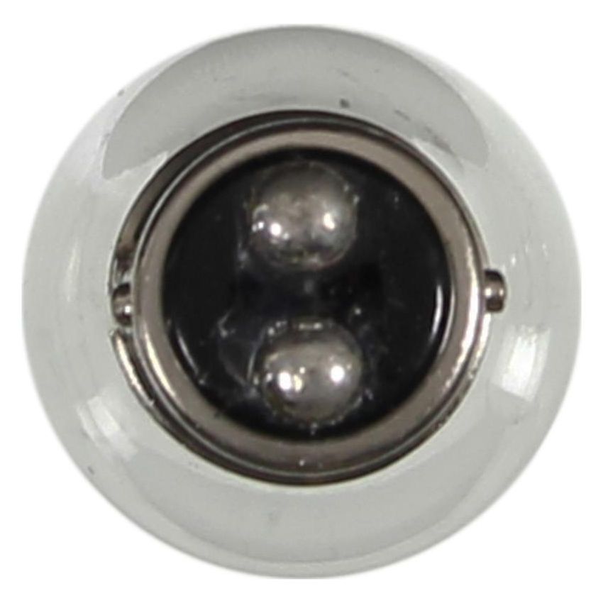 WAGNER LIGHTING BP1034 Standard Multi-Purpose Light Bulb Card of 2