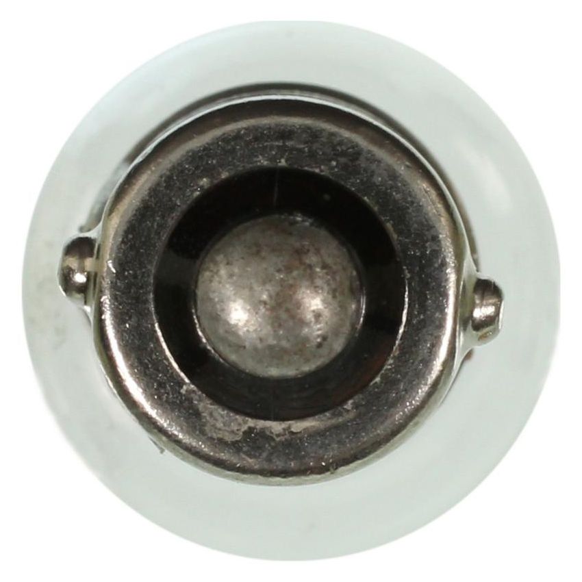 WAGNER LIGHTING BP1895 Standard Multi-Purpose Light Bulb Card of 2