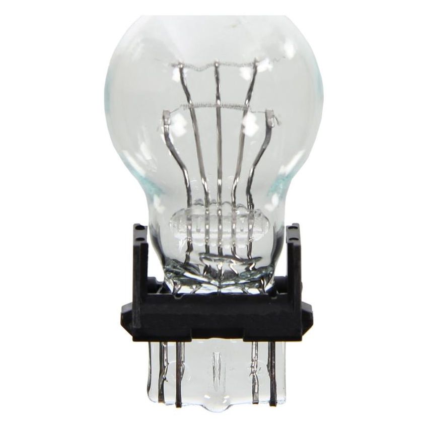 WAGNER LIGHTING BP3057LL Long Life Multi-Purpose Light Bulb Card of 2