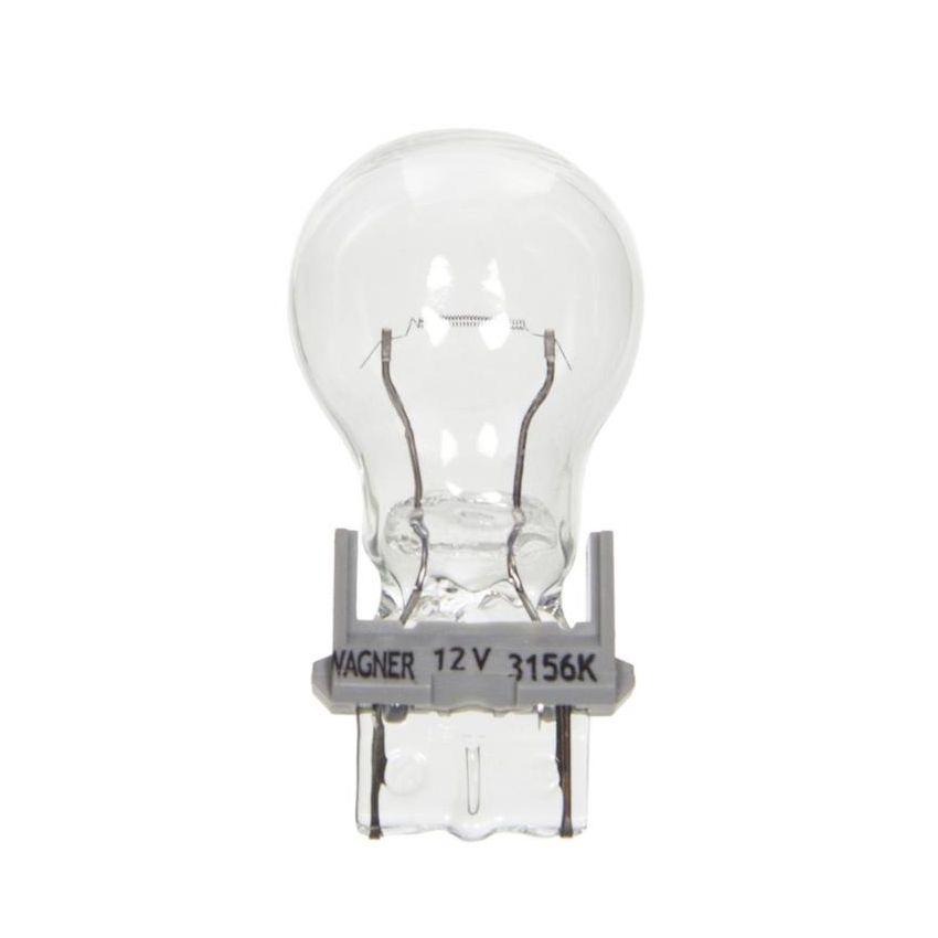 WAGNER LIGHTING BP3156LL Long Life Multi-Purpose Light Bulb Card of 2