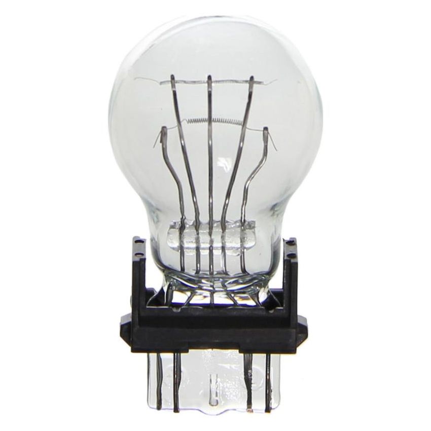 WAGNER LIGHTING BP3157 Standard Multi-Purpose Light Bulb Card of 2