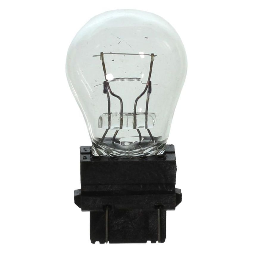 WAGNER LIGHTING BP3357 Standard Multi-Purpose Light Bulb Card of 2