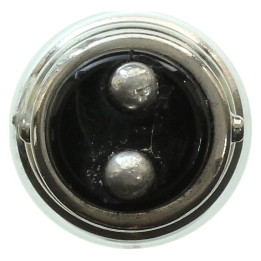 WAGNER LIGHTING BP3496LL Long Life Multi-Purpose Light Bulb Box of 10