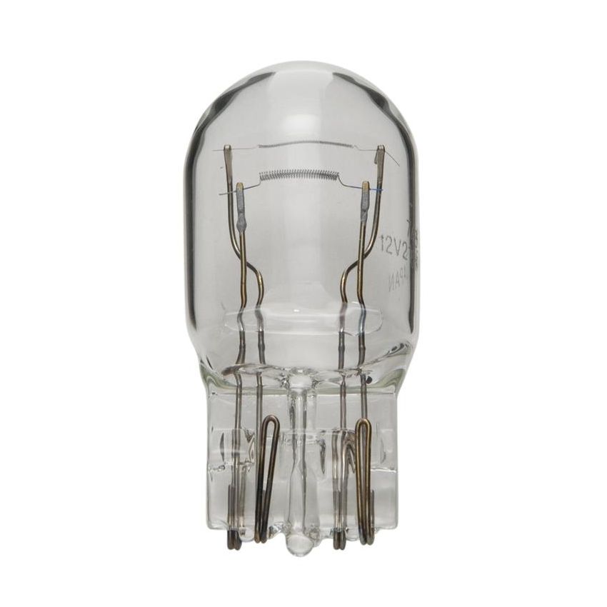 WAGNER LIGHTING BP7443LL Long Life Multi-Purpose Light Bulb Card of 1