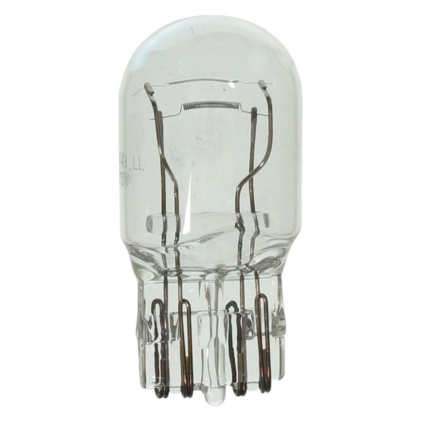 WAGNER LIGHTING BP7443LL Long Life Multi-Purpose Light Bulb Card of 1