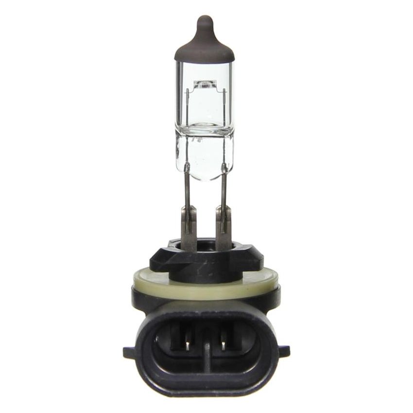 WAGNER LIGHTING BP896 Standard Multi-Purpose Light Bulb Card of 1