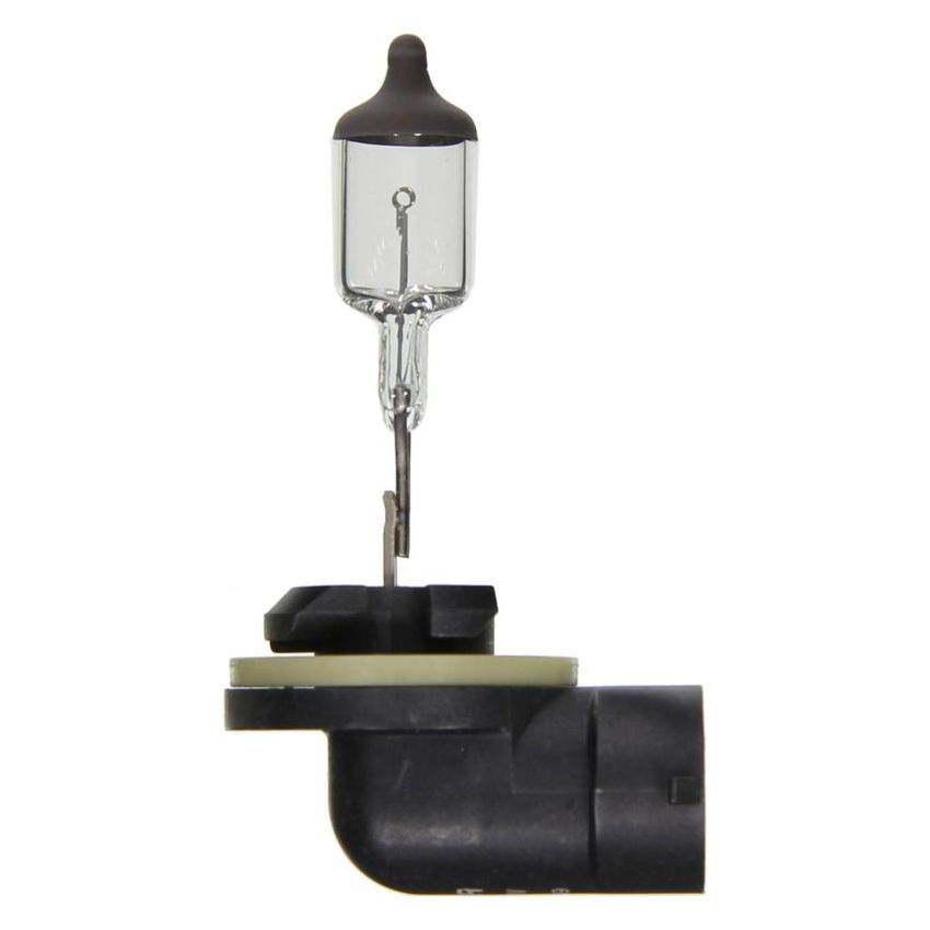 WAGNER LIGHTING BP896 Standard Multi-Purpose Light Bulb Card of 1