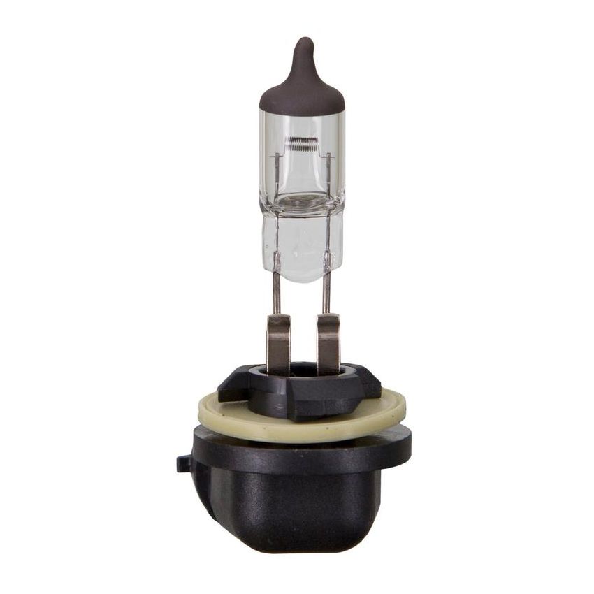 WAGNER LIGHTING BP898 Standard Multi-Purpose Light Bulb Card of 1