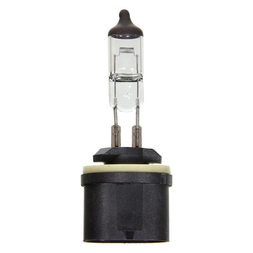 WAGNER LIGHTING BP899 Standard Multi-Purpose Light Bulb Card of 1